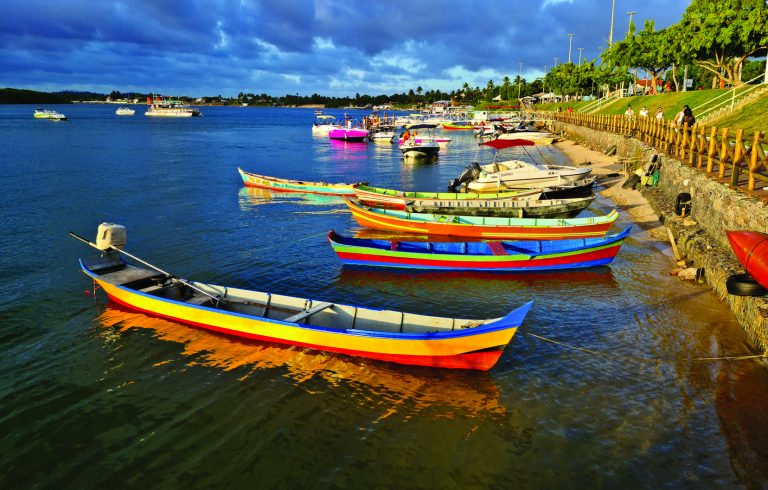 Aracajú, the City of Macaw and Cashew