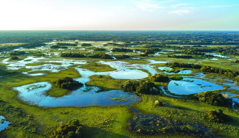 Corumbá, the Capital of the Exotic Pantanal