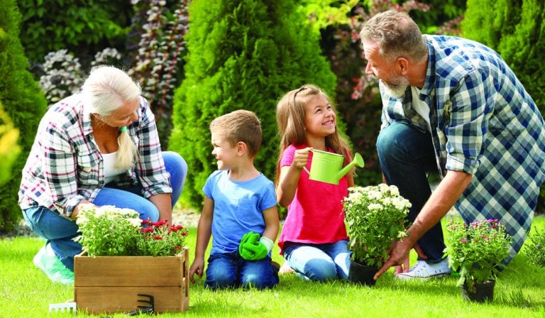 Grandma and Grandpa’s Garden