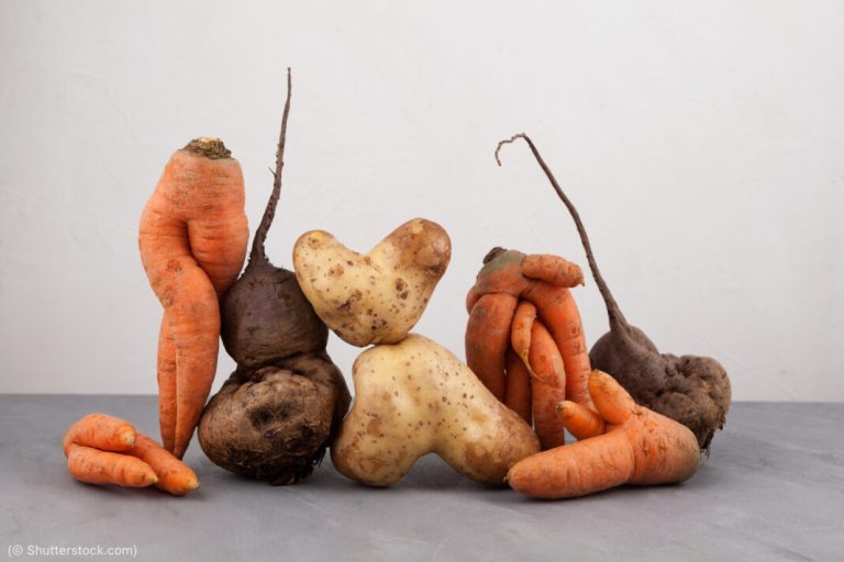 Adotando medidas para pôr fim ao desperdício de alimentos