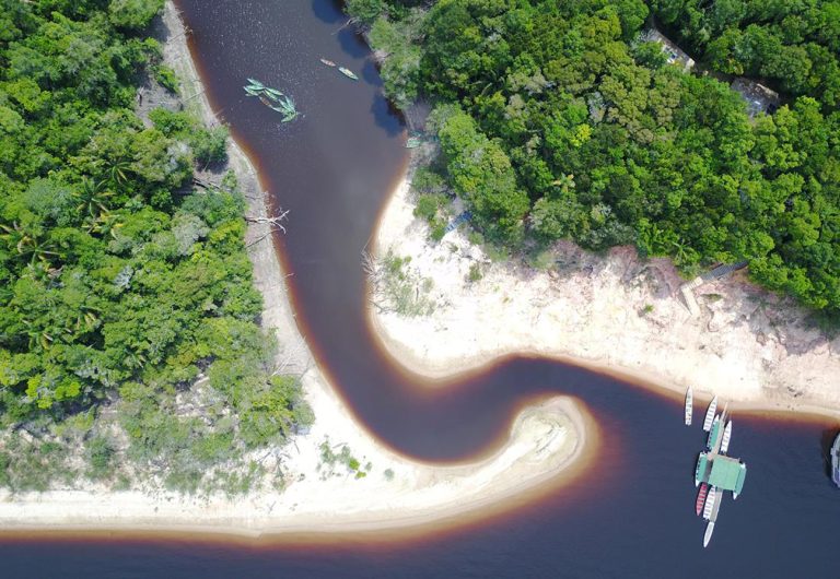 Parque Nacional de Anavilhanas