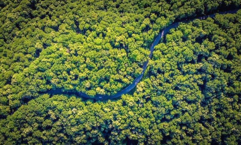 NASA Expands Use Of Freshwater Tool To Protect The Amazon