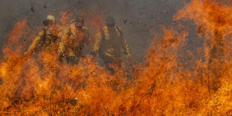 Incêndios Recordes Consomem O Pantanal