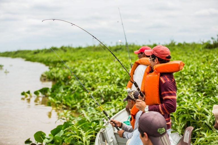 Sportfishing Destinations In Brazil