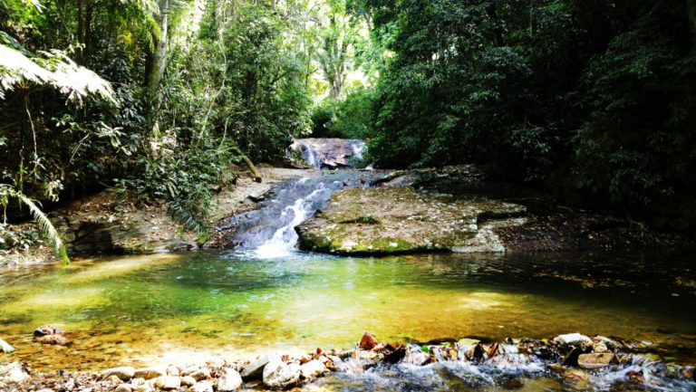 Take an Unforgettable Hike in One of the Largest Urban Forests in the World