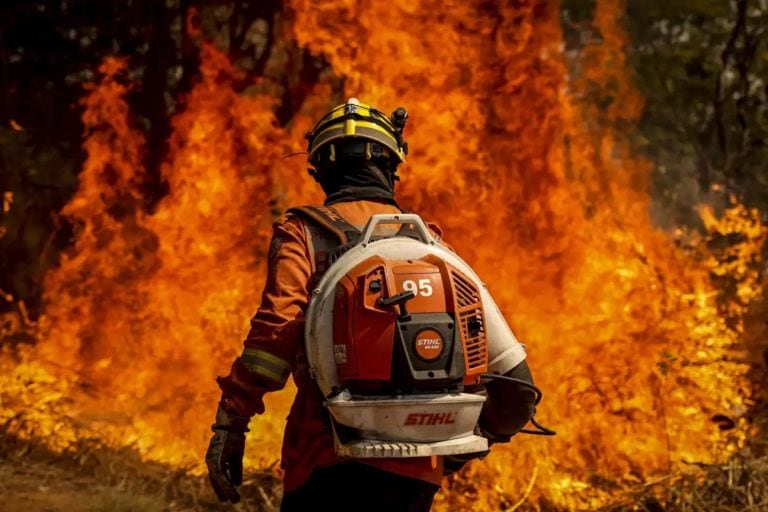 Forest Fires Break Records In Brazil