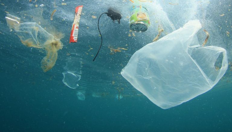 Brazil Dumps 1.3M Tons Of Plastic Into The Ocean Every Year