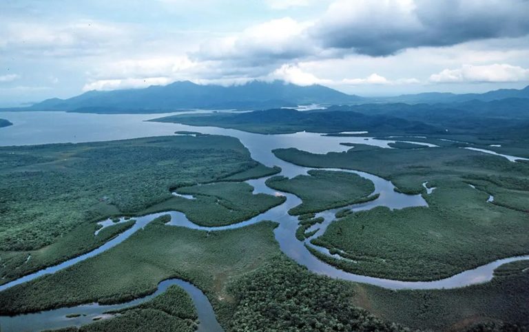 Most Of Brazilin Atlantic Forest Has Less Than 30% Native Vegetation